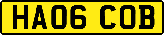 HA06COB
