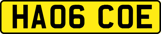 HA06COE