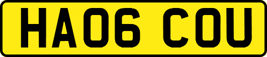 HA06COU