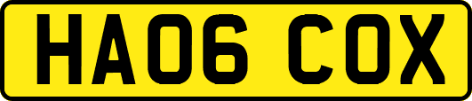 HA06COX