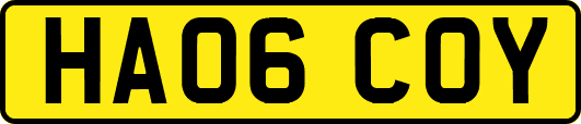 HA06COY