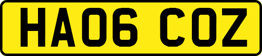 HA06COZ