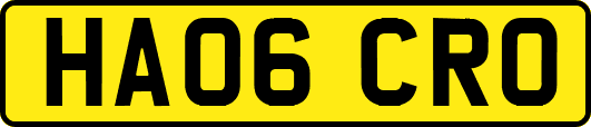 HA06CRO