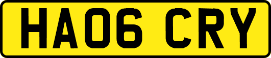 HA06CRY