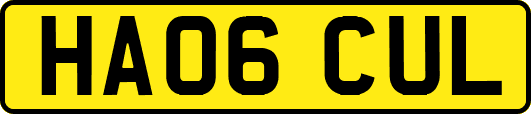 HA06CUL