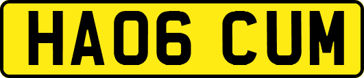 HA06CUM