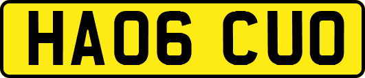 HA06CUO