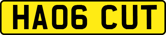 HA06CUT