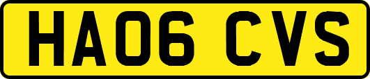 HA06CVS