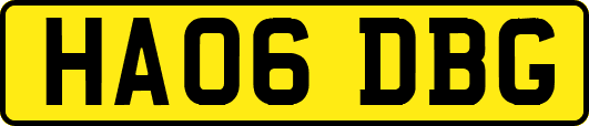 HA06DBG