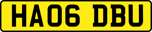 HA06DBU