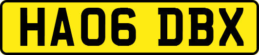 HA06DBX