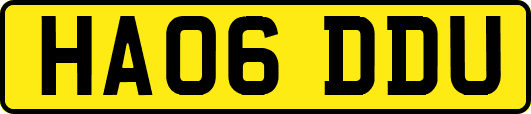 HA06DDU