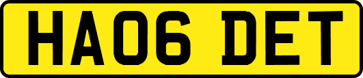 HA06DET