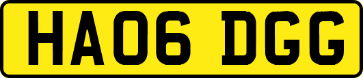 HA06DGG