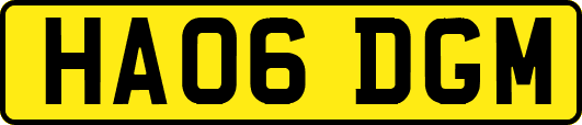 HA06DGM