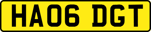 HA06DGT