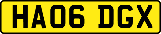 HA06DGX