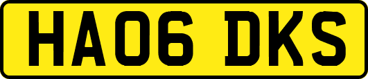 HA06DKS