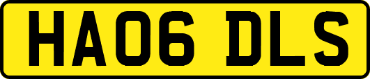 HA06DLS