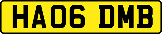 HA06DMB