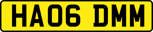 HA06DMM