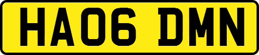 HA06DMN