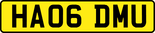 HA06DMU