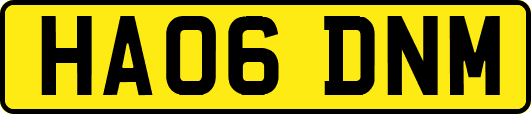 HA06DNM
