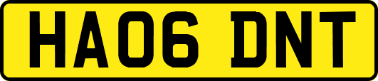 HA06DNT