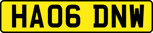 HA06DNW