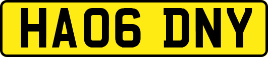 HA06DNY