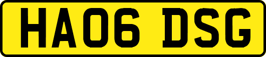 HA06DSG