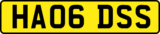HA06DSS
