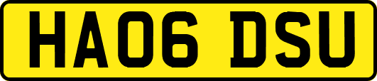 HA06DSU