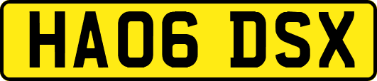 HA06DSX