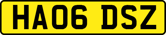 HA06DSZ