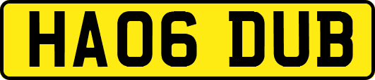 HA06DUB