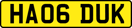 HA06DUK