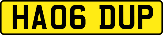 HA06DUP