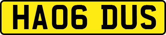 HA06DUS
