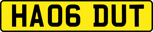 HA06DUT