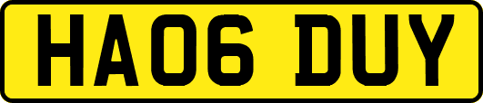 HA06DUY