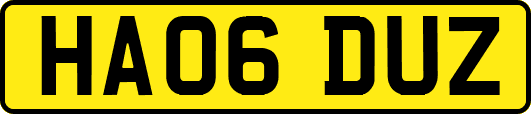 HA06DUZ