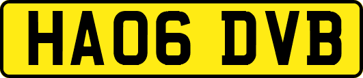 HA06DVB