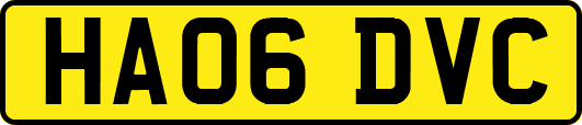 HA06DVC