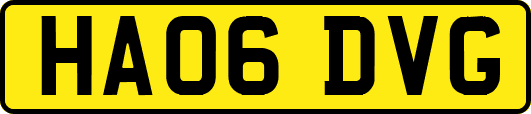 HA06DVG