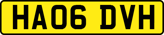 HA06DVH