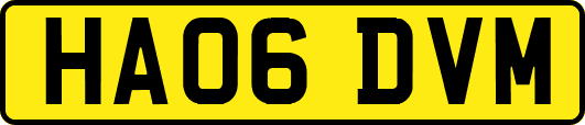 HA06DVM