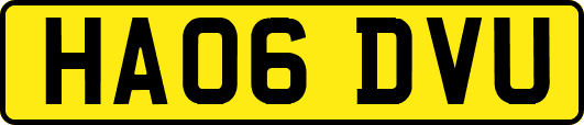 HA06DVU